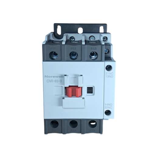CNR-65-3 (1)