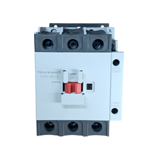 CNR-95-3 (1)